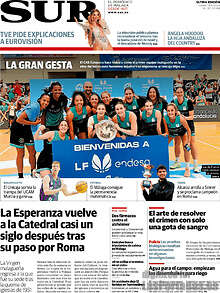 Periodico Sur