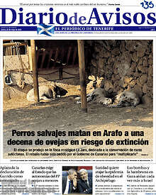 Periodico Diario de Avisos