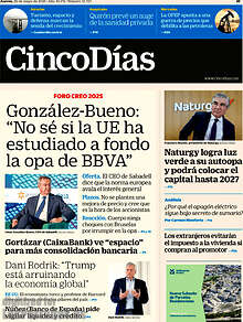 Periodico Cinco Días