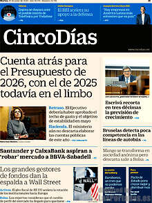 Periodico Cinco Días