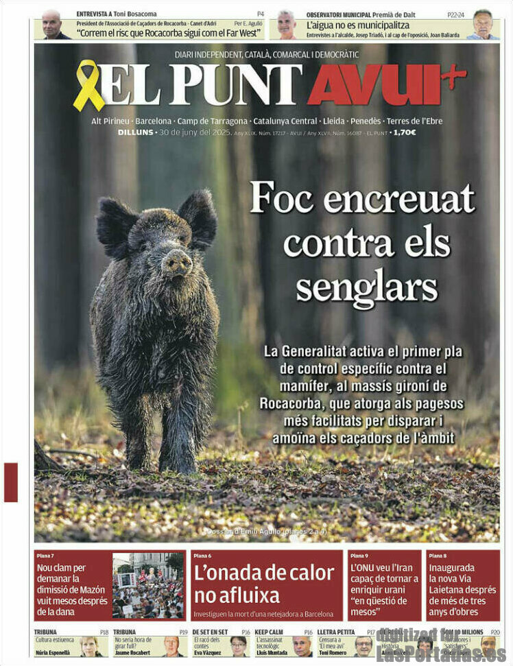 El Punt