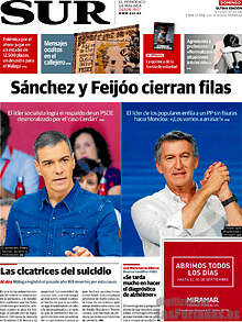 Periodico Sur