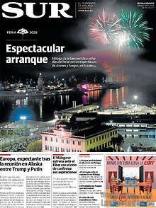 Periodico Sur