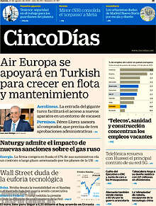 Periodico Cinco Días