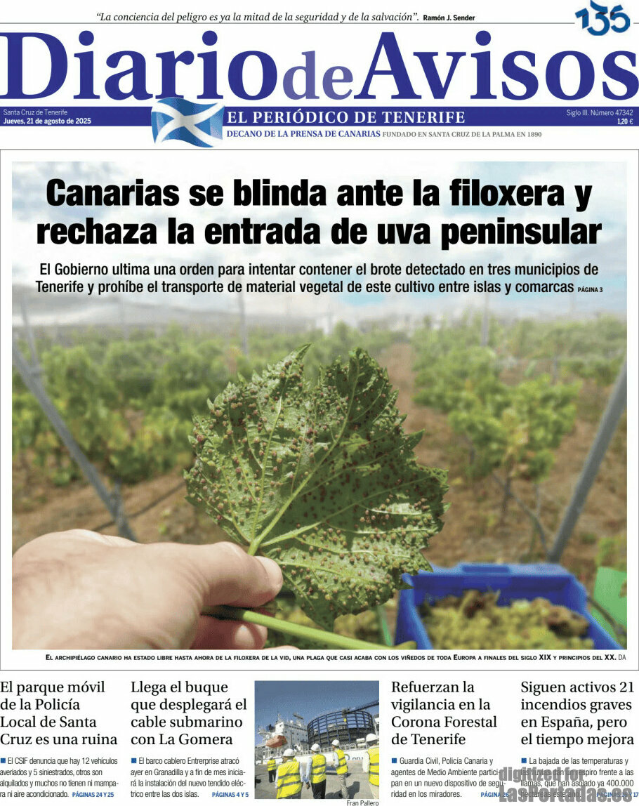 Diario de Avisos