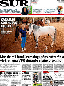 Periodico Sur