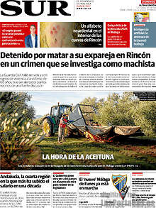 Periodico Sur