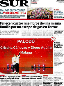 Periodico Sur
