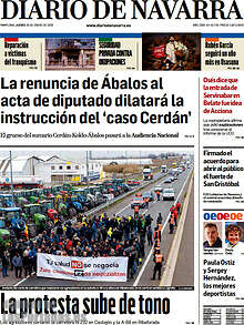 Periodico Diario de Navarra