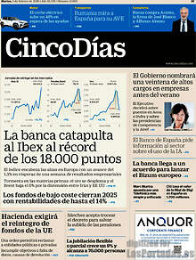 Periodico Cinco Días