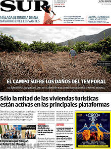 Periodico Sur