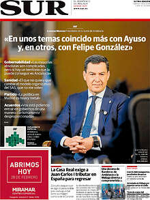 Periodico Sur