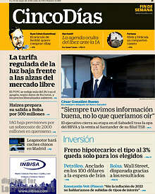 Periodico Cinco Días