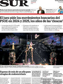 Periodico Sur