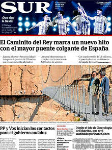 Periodico Sur