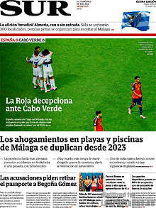 Periodico Sur