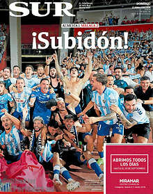 Periodico Sur