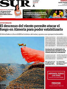 Periodico Sur