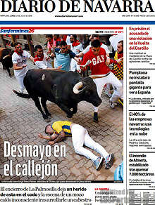 Periodico Diario de Navarra
