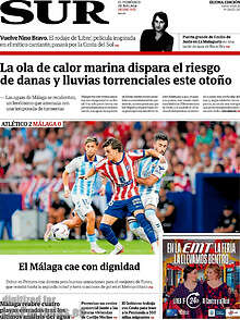 Periodico Sur