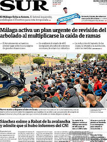 Periodico Sur
