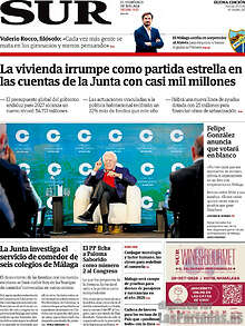 Periodico Sur