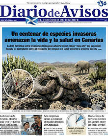Periodico Diario de Avisos